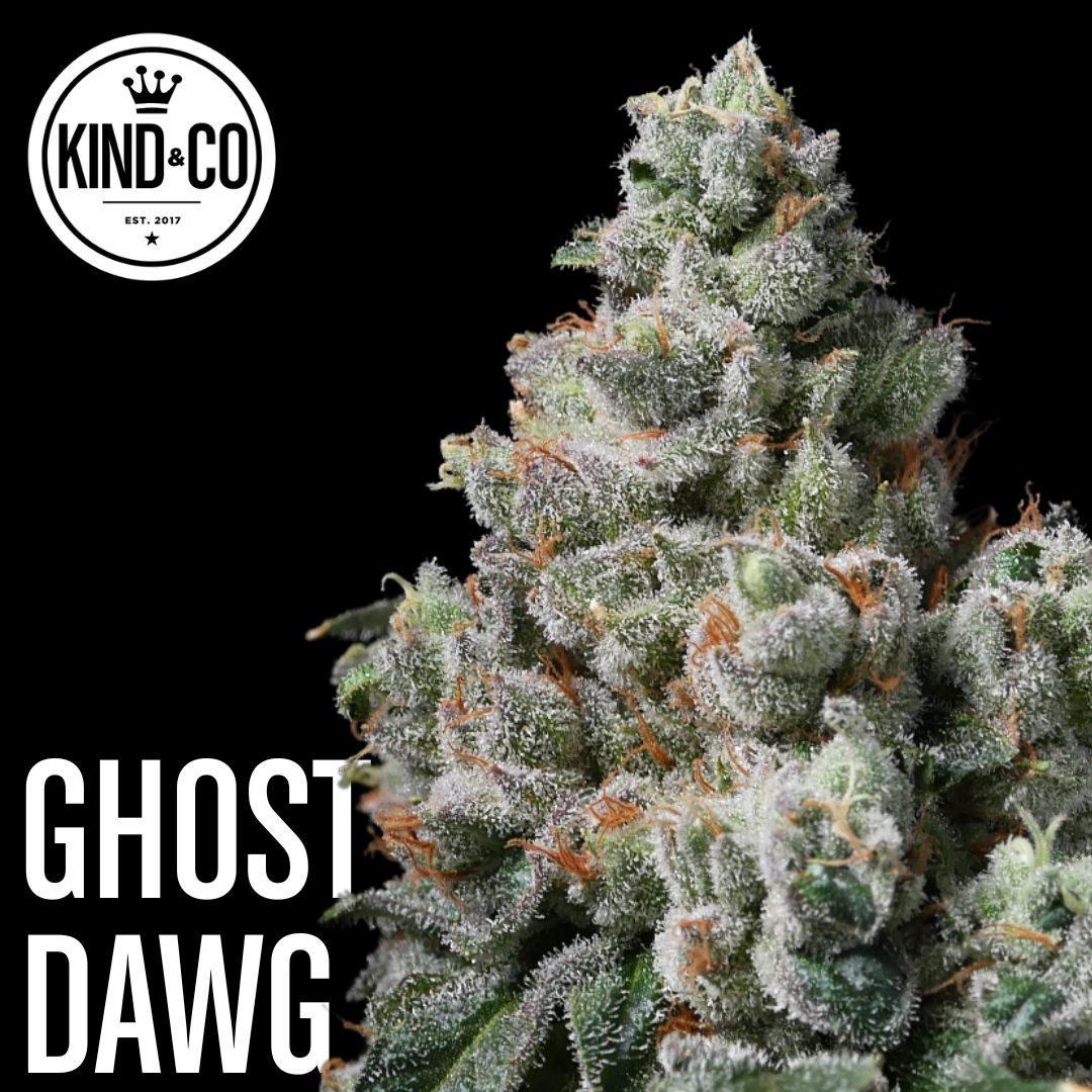 Ghost Dawg flower