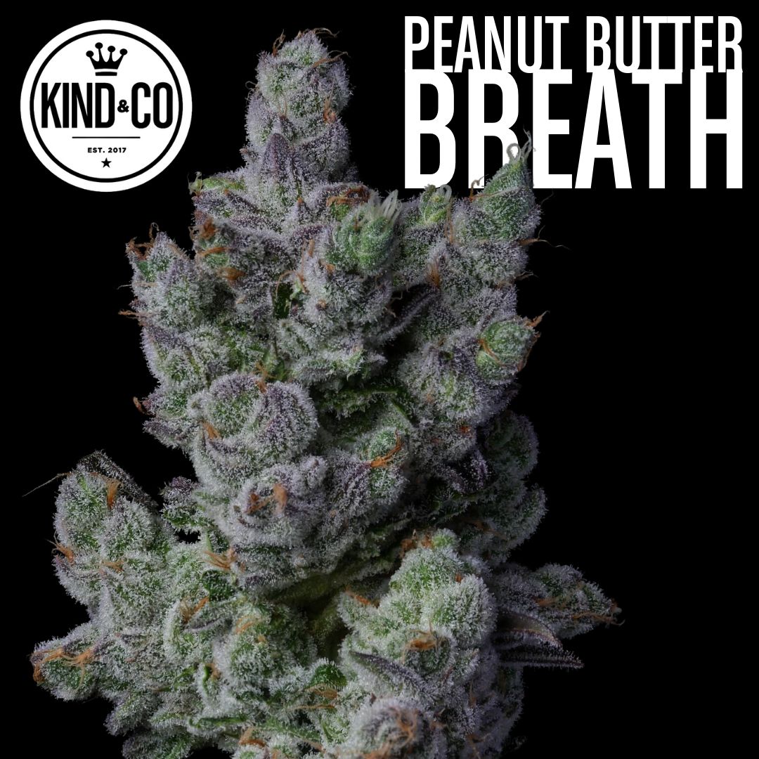 Peanut Butter Breath flower