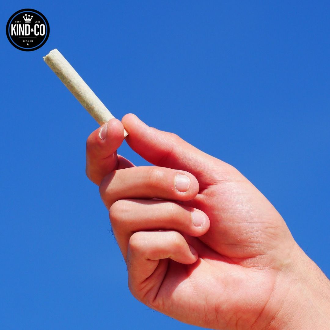 A Kind & Co preroll held against a blue sky