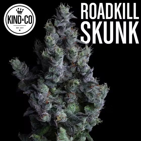 Roadkill Skunk flower