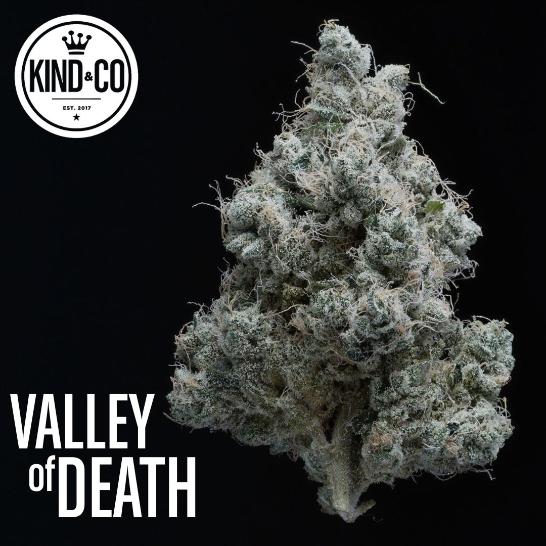 Valley of Death flower